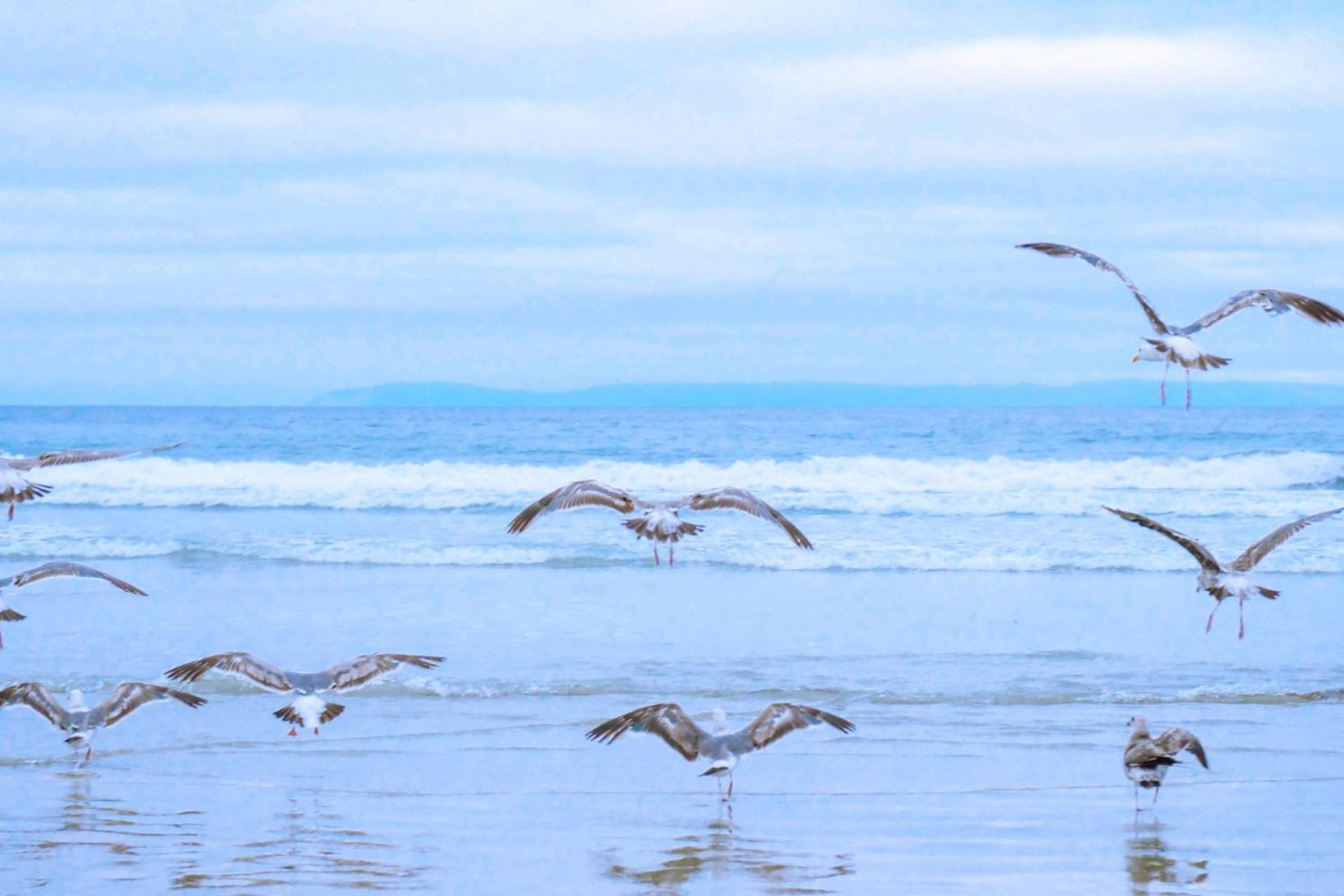 Beach Appartement 17 - Aan De Duinen, Callantsoog Aan Zee エクステリア 写真