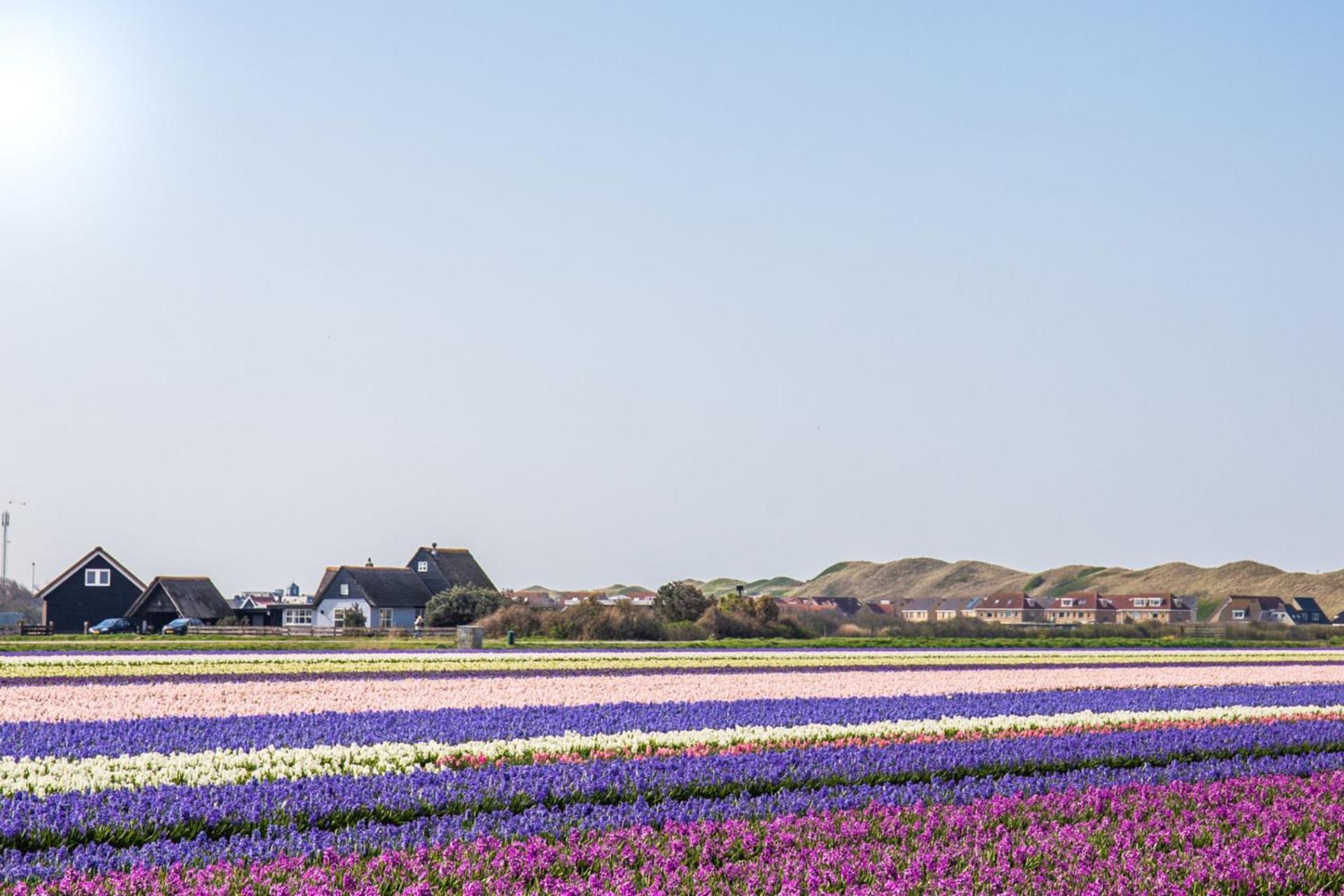 Beach Appartement 17 - Aan De Duinen, Callantsoog Aan Zee エクステリア 写真