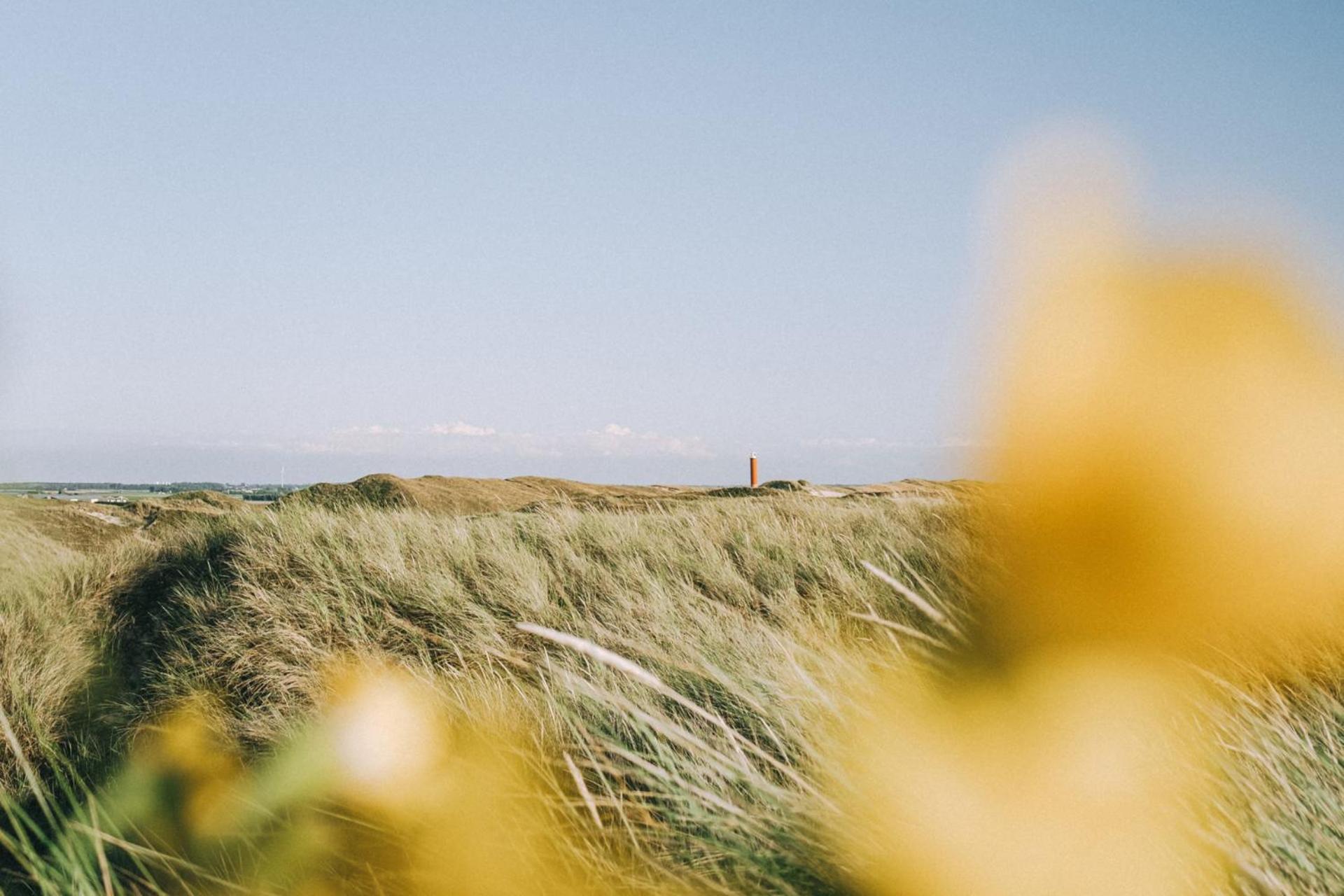Beach Appartement 17 - Aan De Duinen, Callantsoog Aan Zee エクステリア 写真